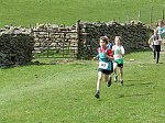 Click on thumbnail for larger photo