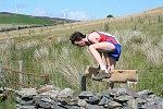 Click on thumbnail for larger photo