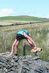 Click on thumbnail for larger photo